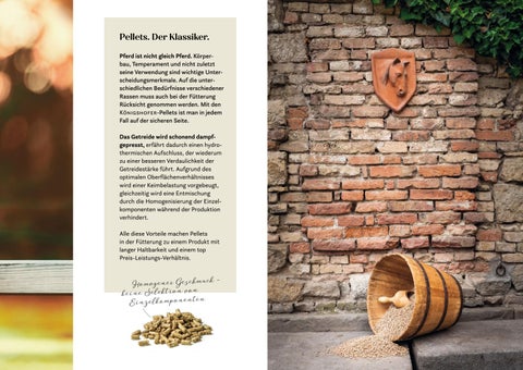 Königshofer Futtermittel - Pferdefutter 第 21 页