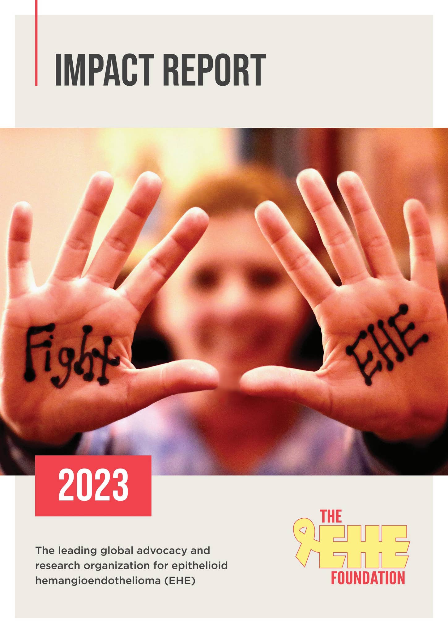 The EHE Foundation 2023 Impact Report by Maggie Cameron - Issuu