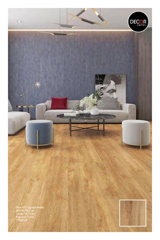 PISOS SPC POWER FLOOR 第 19 页