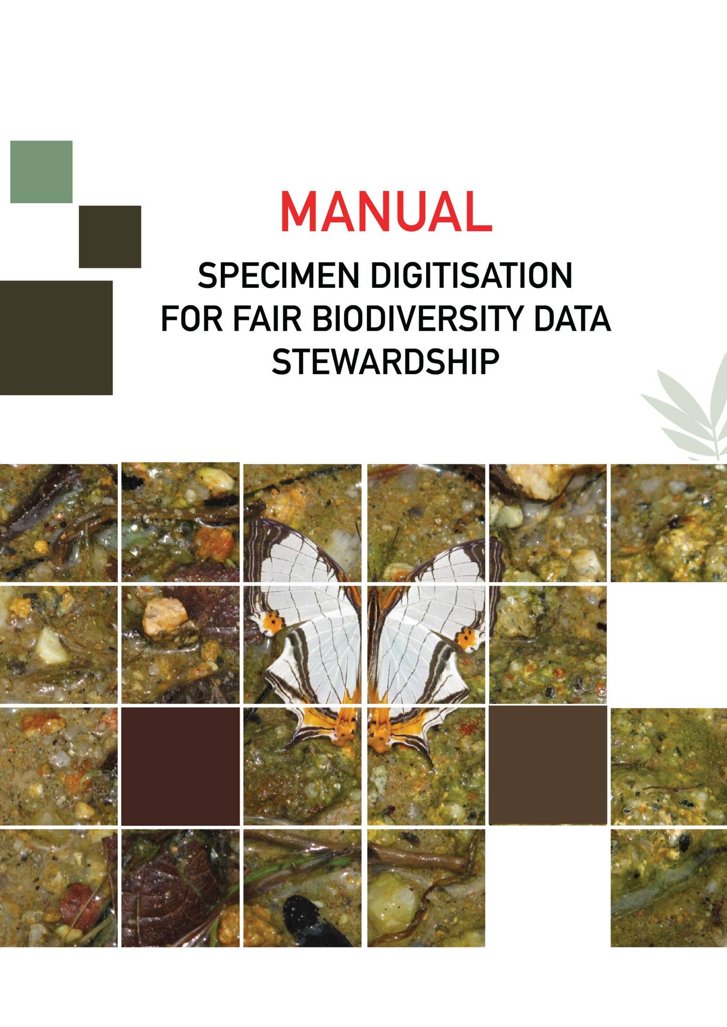 Manual: Specimen Digitisation For Fair Biodiversity Data Stewardship by ...