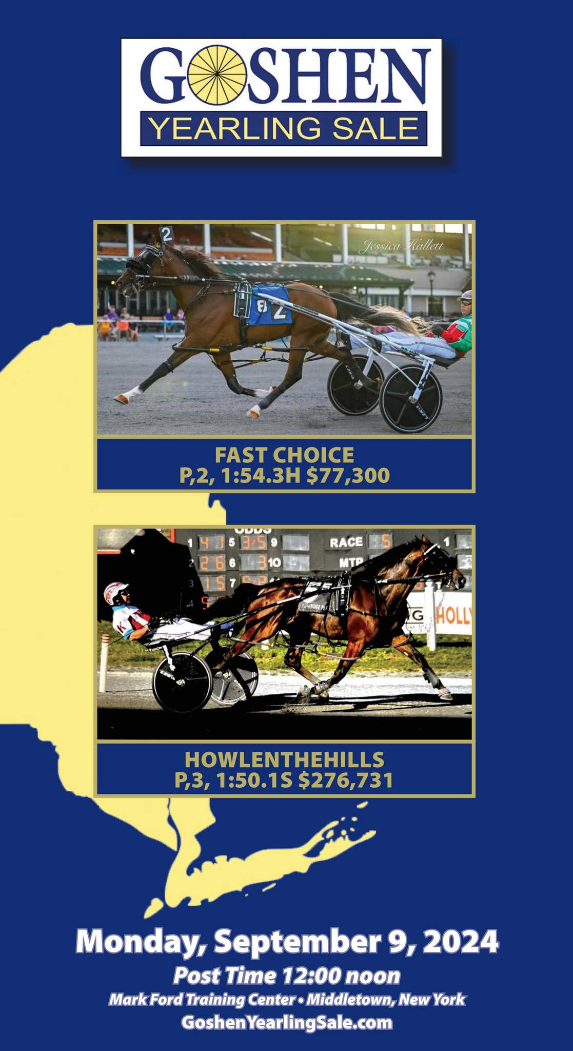 Goshen Yearling Sale 2024 by Cattle In Motion, LLC - Issuu