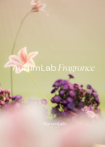 Aurum Lab 灯饰目录 · Fragrance by 第 24 页