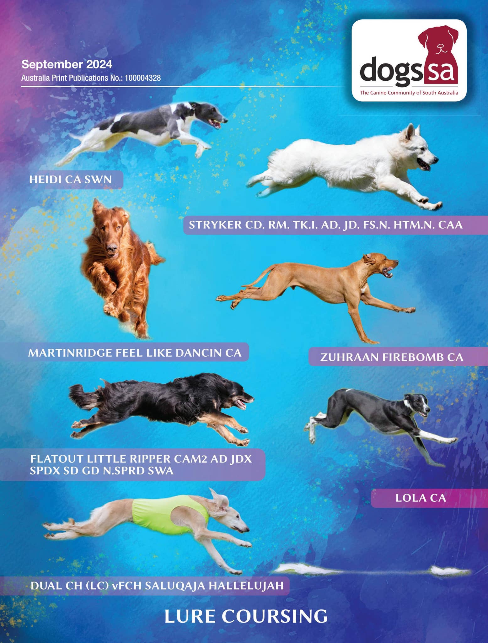 Cat without Red Balloon, image size:1555x2048