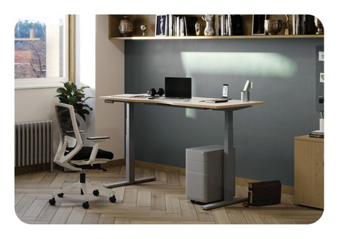 Thats My 办公 Levanta Desks 第 12 页