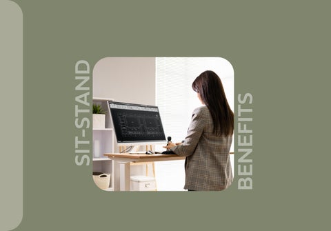 Thats My 办公 Levanta Desks 第 4 页