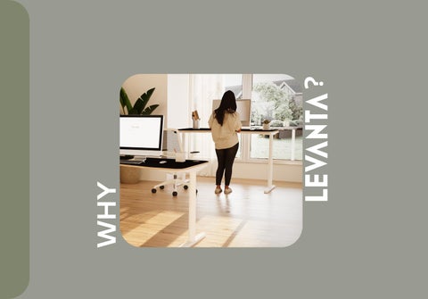 Thats My 办公 Levanta Desks 第 6 页