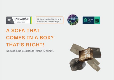 Sofá na Caixa | Packed Sofa English - Packed 沙发 目录 第 2 页