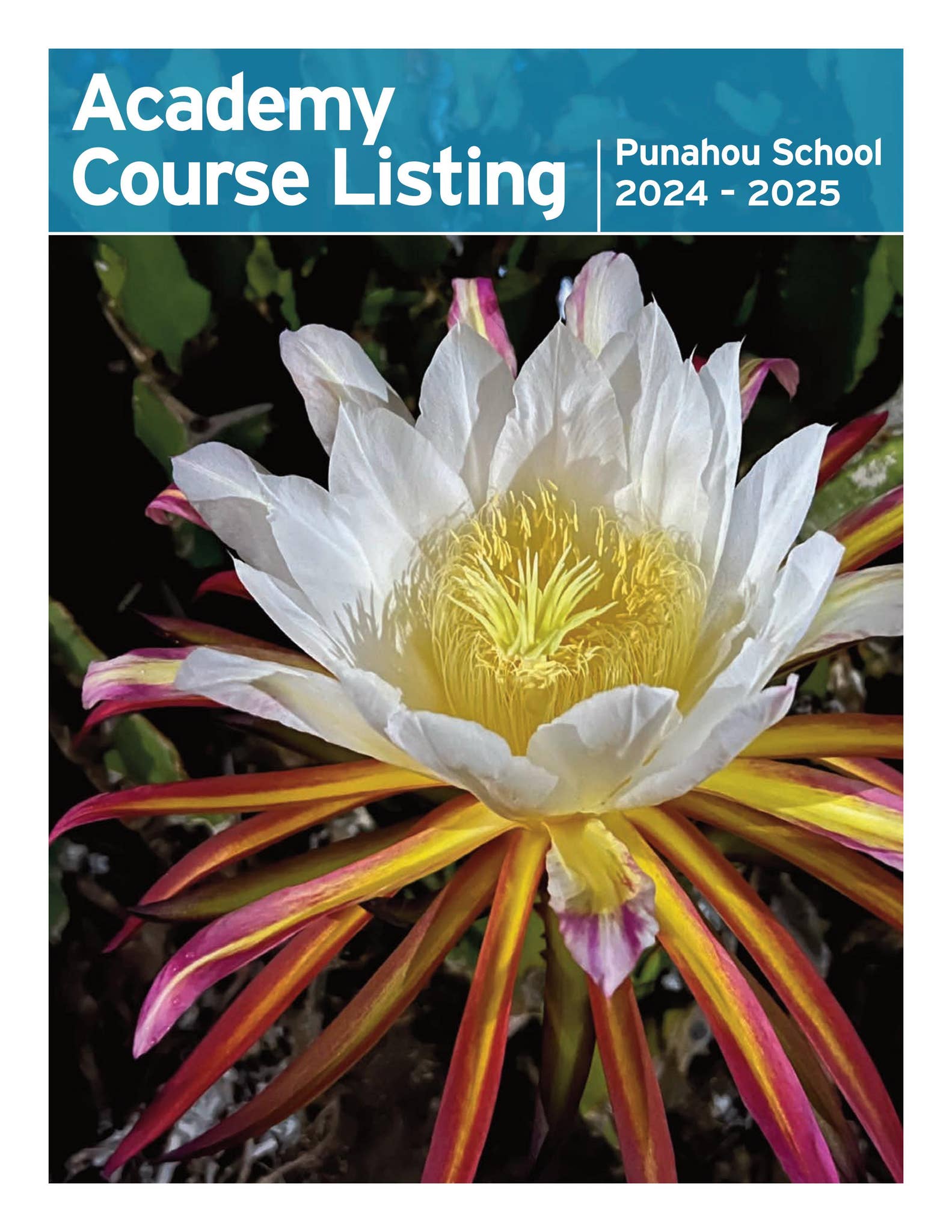 2024 2025 Academy Course Listing by Punahou School Issuu