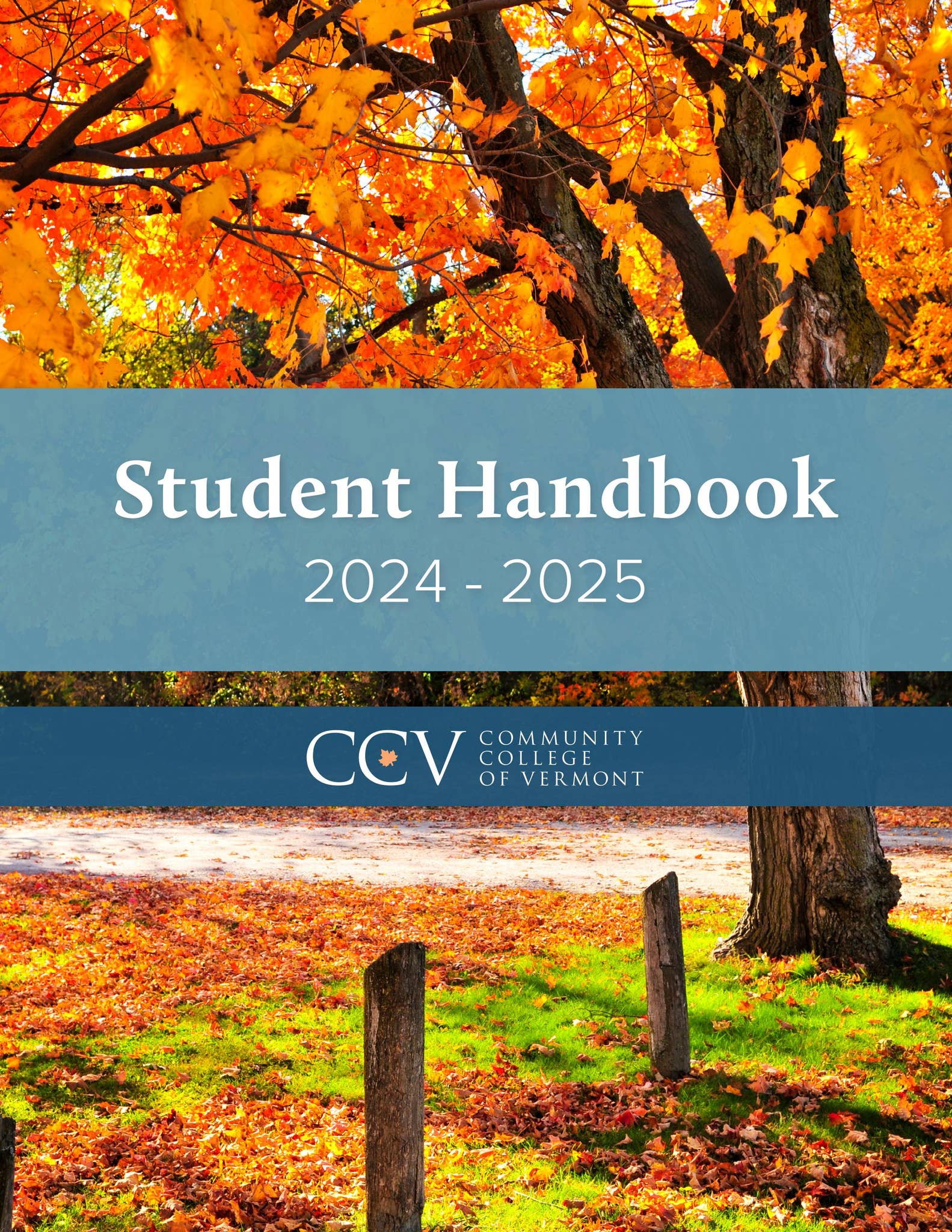 Student Handbook 20242025 by Community College of Vermont Issuu