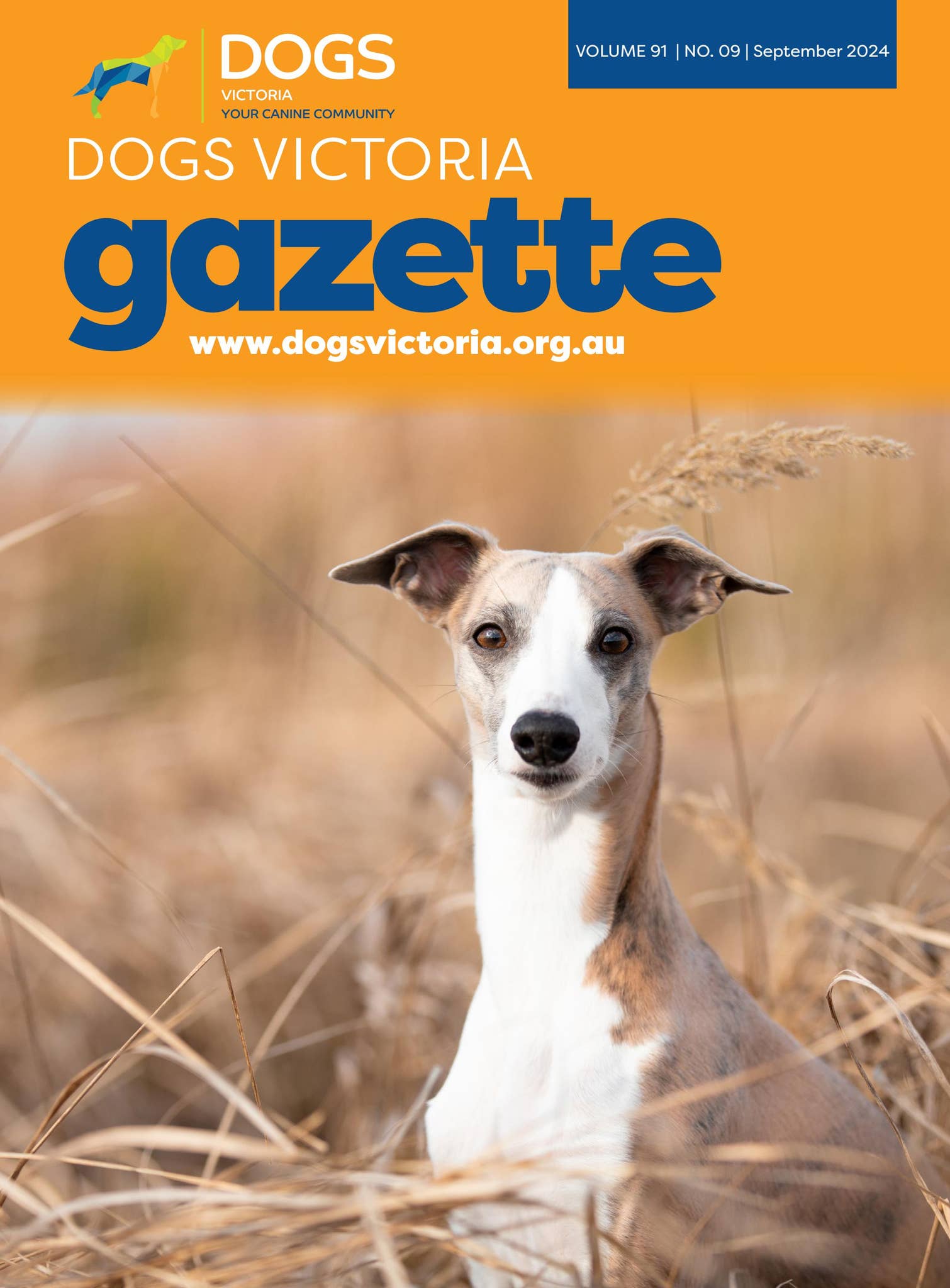 Dogs Victoria September Gazette 2024 by Dogs Victoria - Issuu, image size:1510x2048