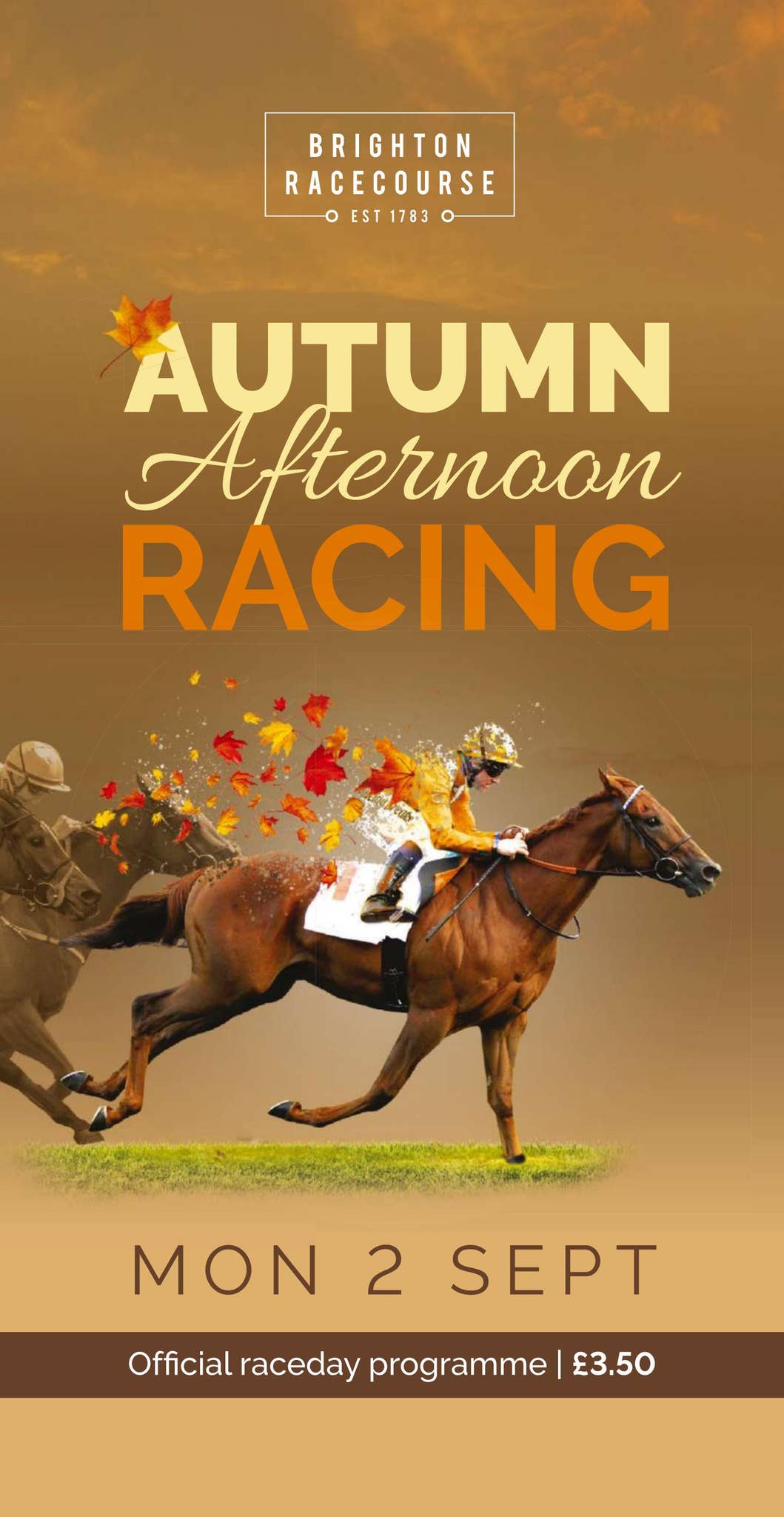 Brighton Racecard - Monday 2nd September by Arena Racing Company - Issuu