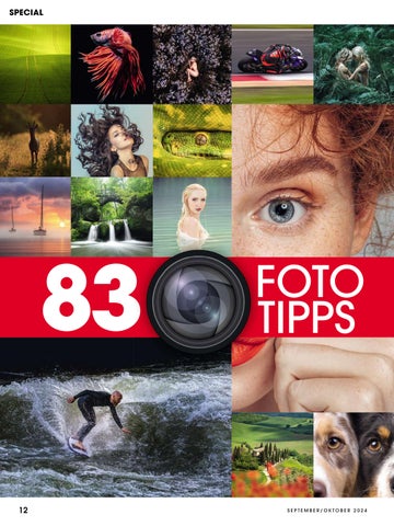 Lamprechter Magazin 5. Ausgabe 2024 第 12 页