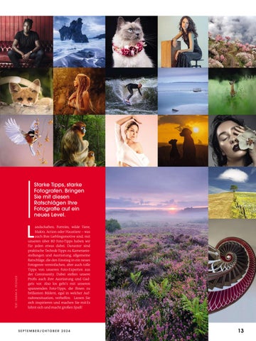 Lamprechter Magazin 5. Ausgabe 2024 第 13 页