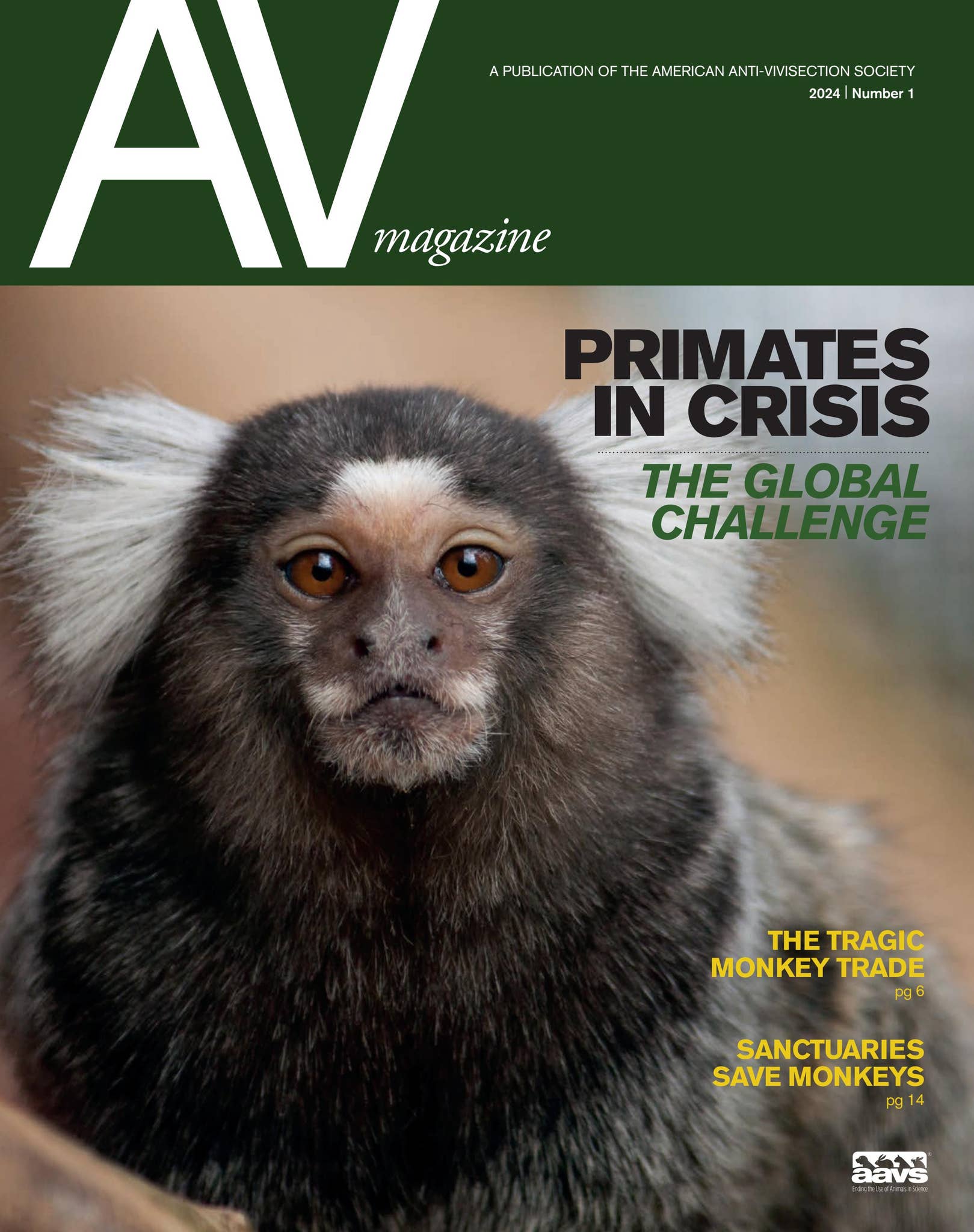 AV Magazine, 2024, Primates by American Anti-Vivisection Society - Issuu