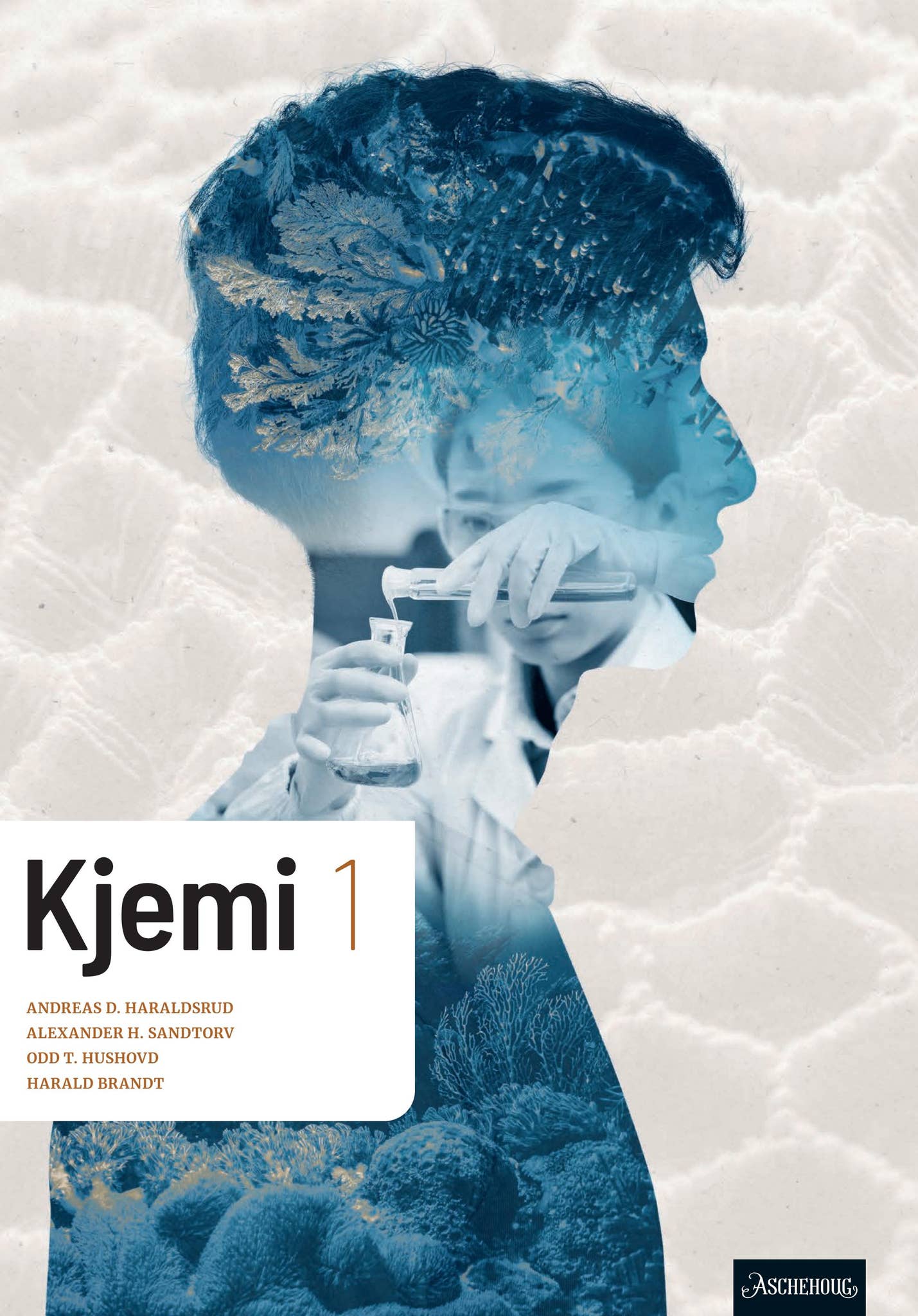 Kjemi 1 BM by Aschehoug Utdanning - Issuu, image size:1429x2048