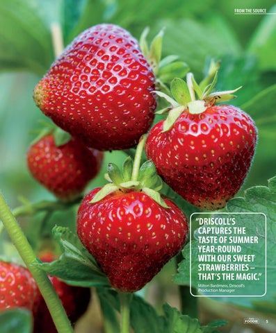 Sysco Foodie 期 35 第 5 页