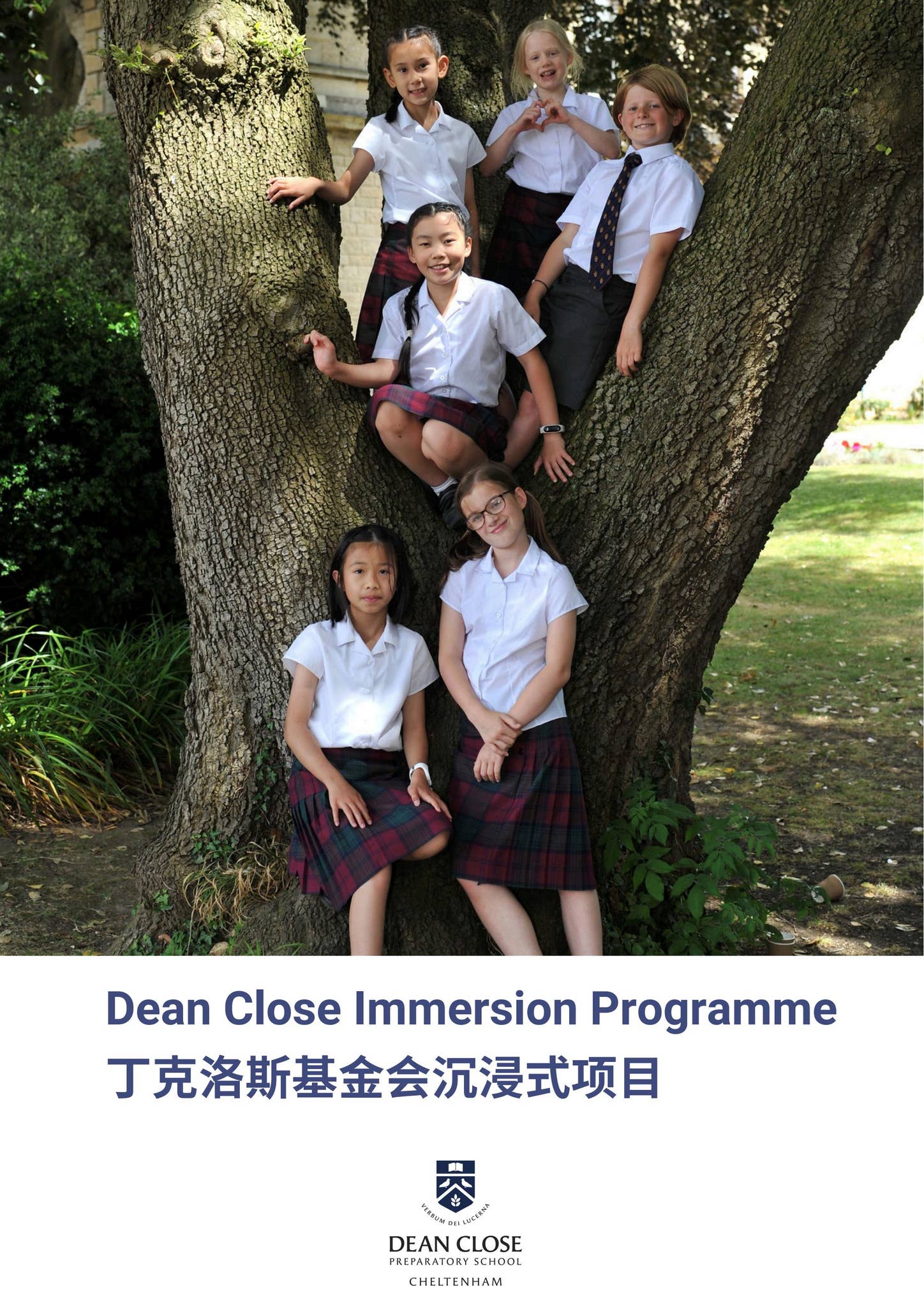 Immersion Programme - Chinese by Dean Close School - Issuu