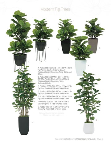 Tree Masters 2024/2025 家具目录 第 11 页