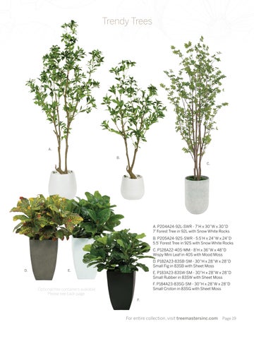 Tree Masters 2024/2025 家具目录 第 19 页