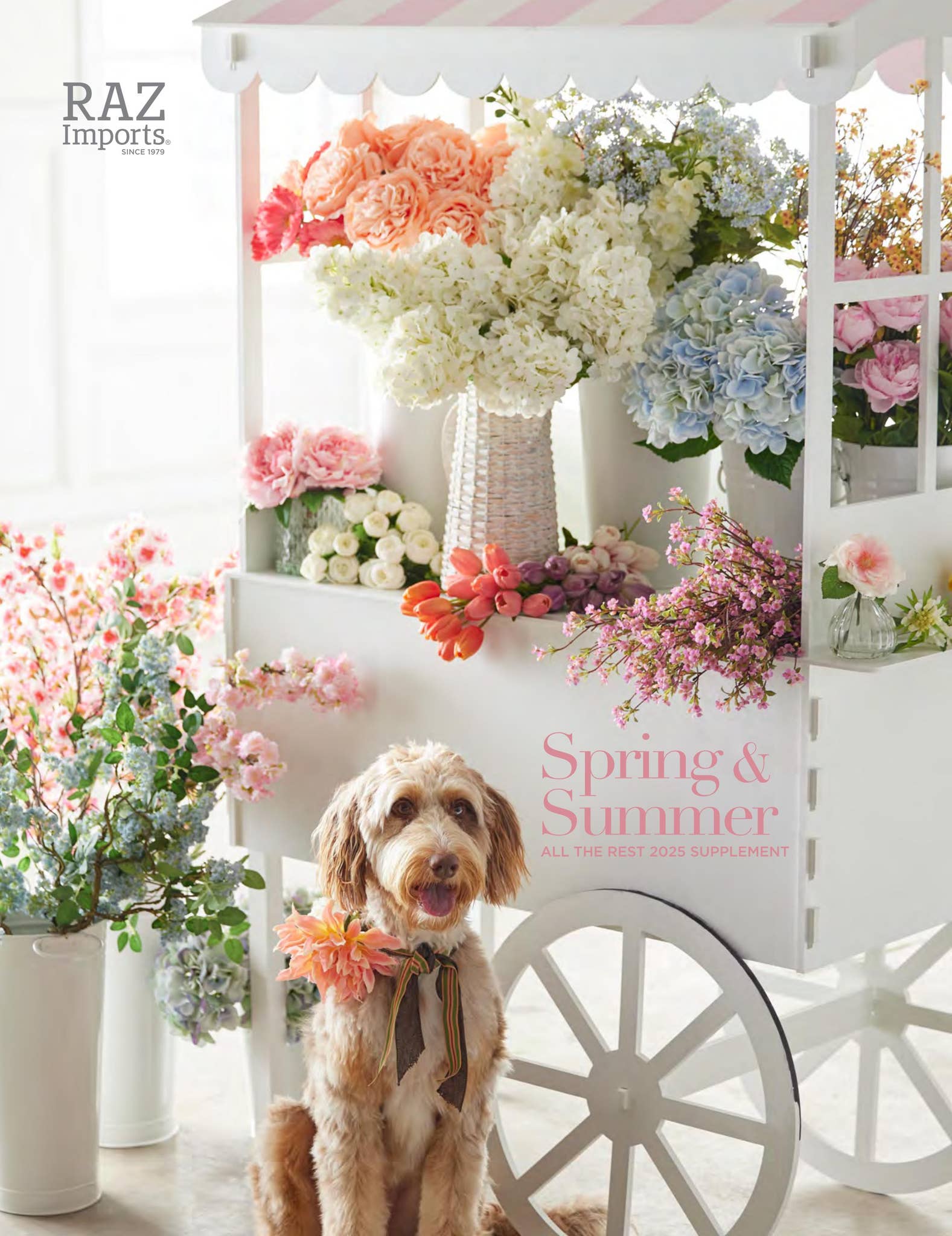 Raz Spring RAZ Spring & Summer 2025 Supplement by The Link Companies - Issuu