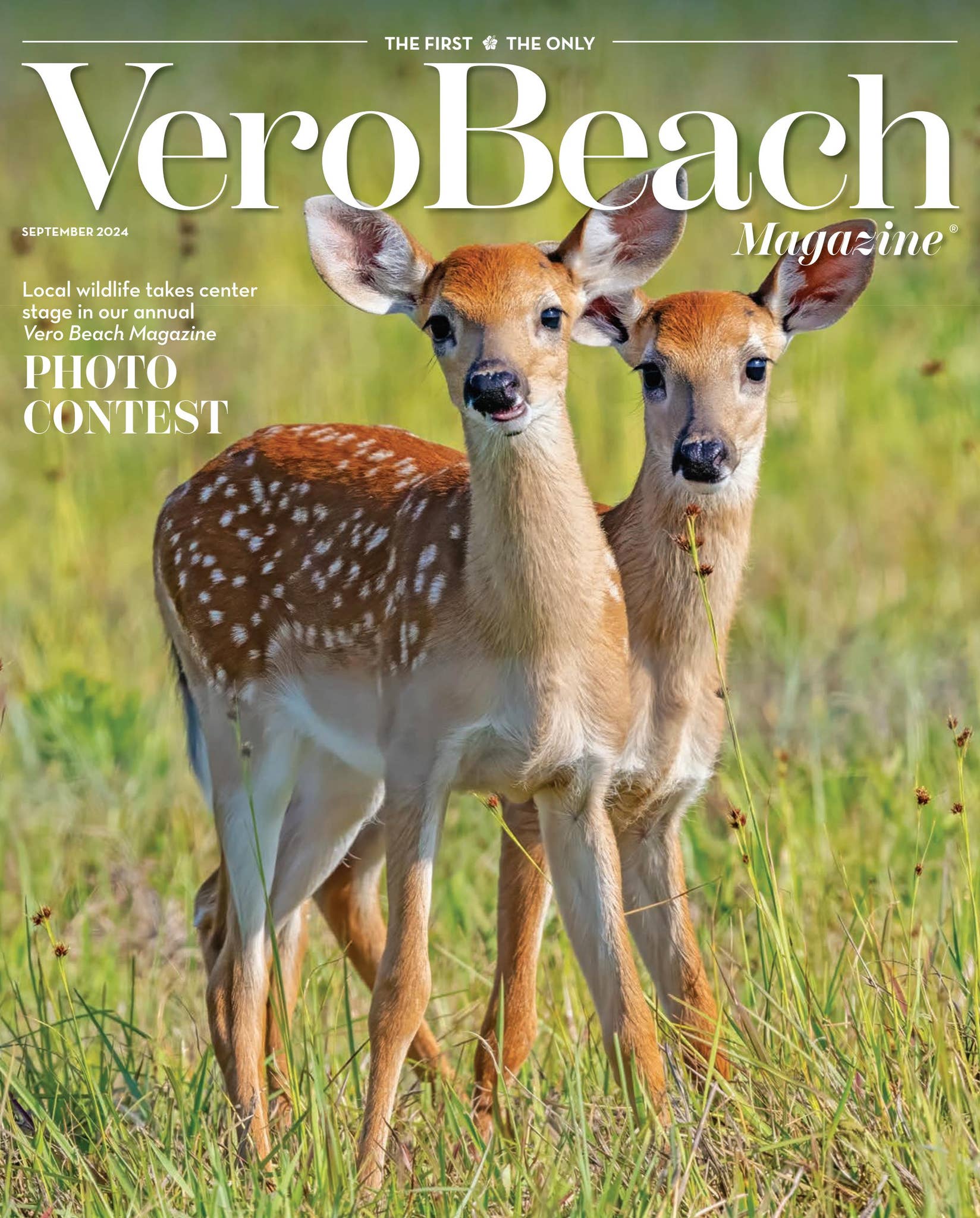 Vero Beach Magazine September 2024 by Palm Beach Media Group - Issuu