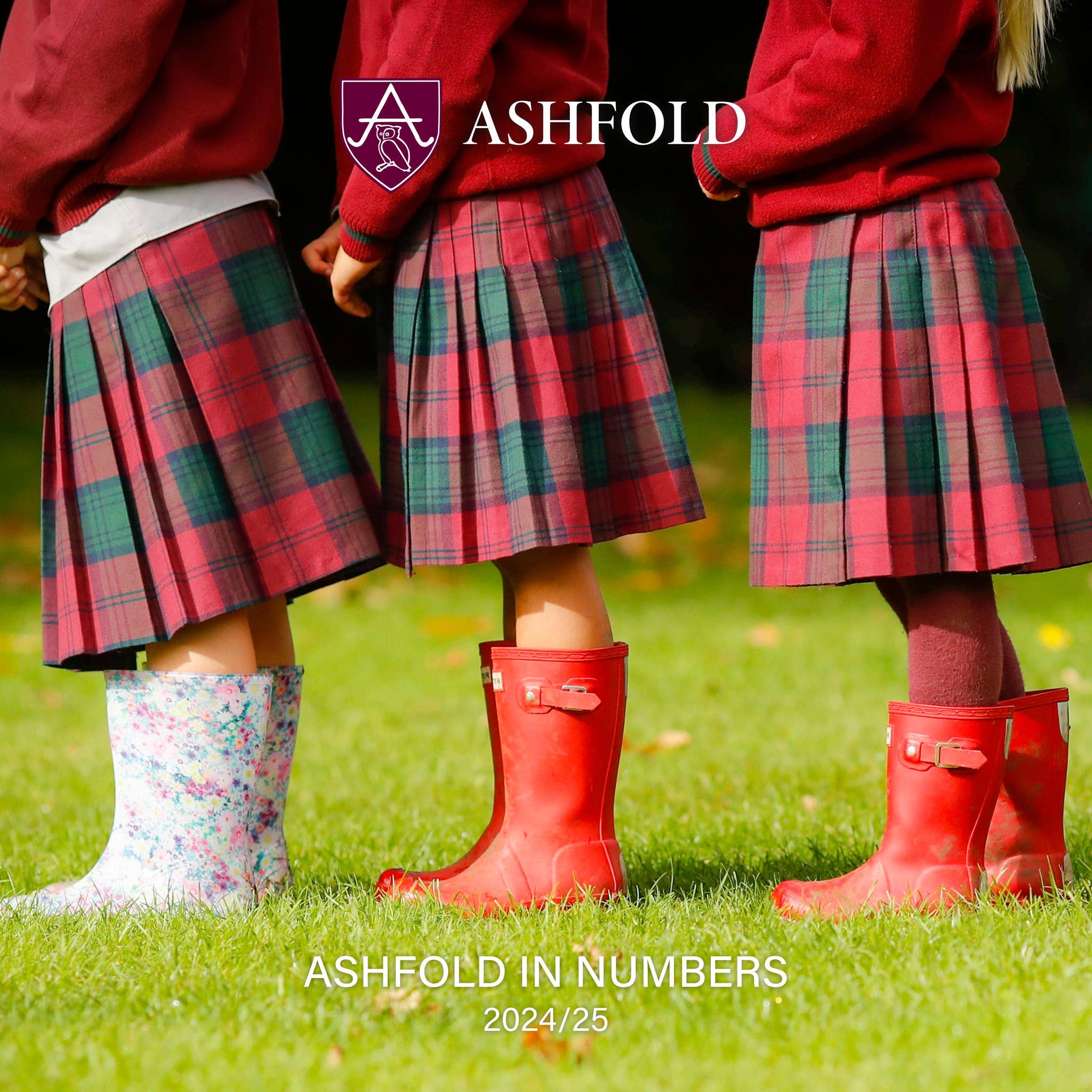 Ashfold in Numbers 2024/25 by ashfoldschool - Issuu