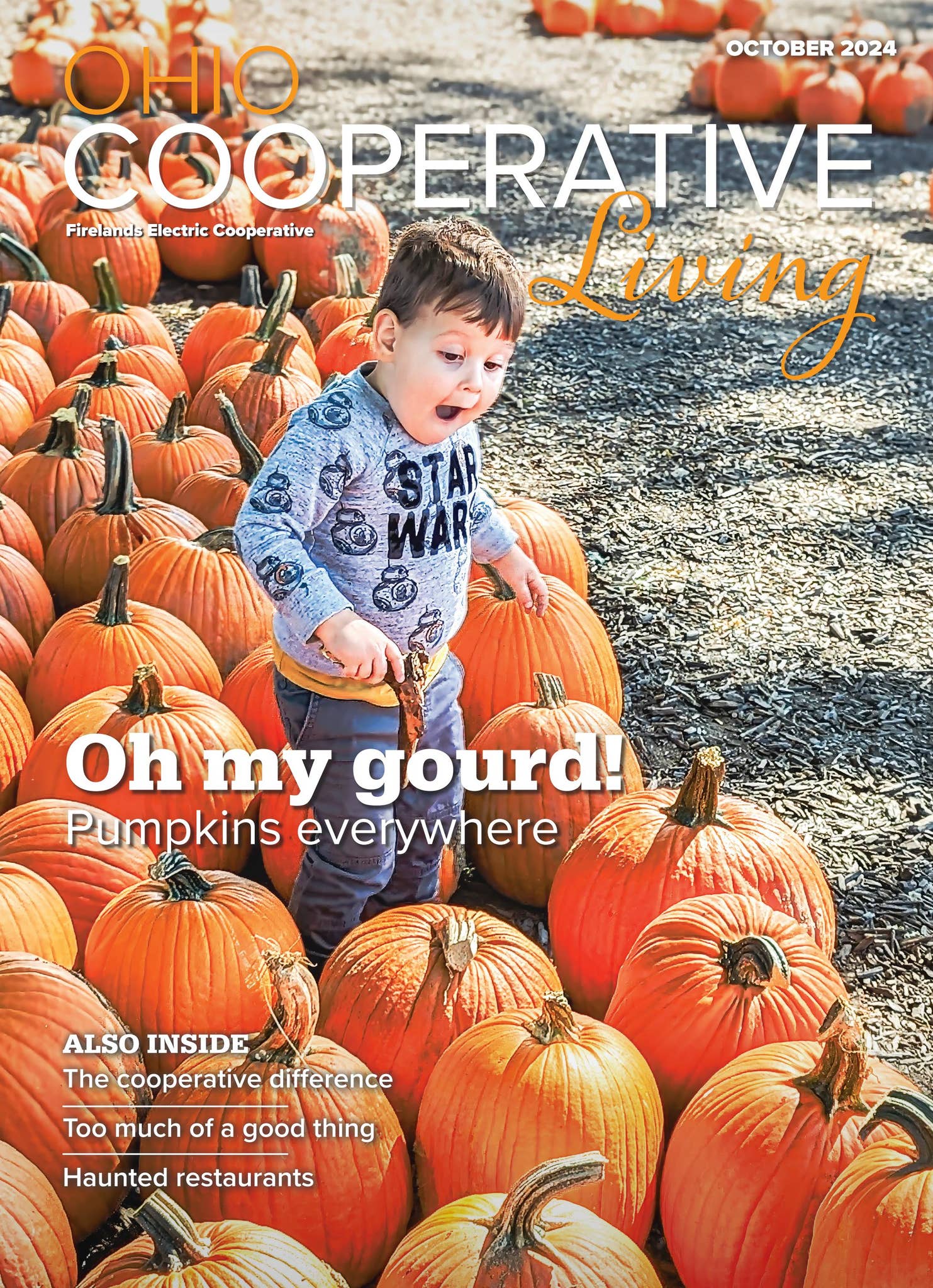 Ohio Cooperative Living - October 2024 - Firelands by Ohio Cooperative  Living - Issuu