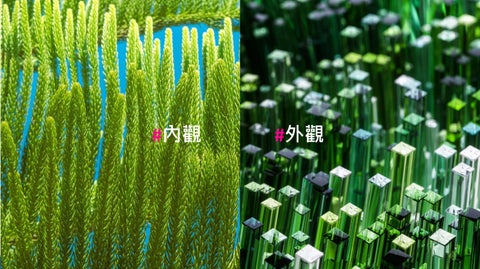塗料 立邦 第 15 页