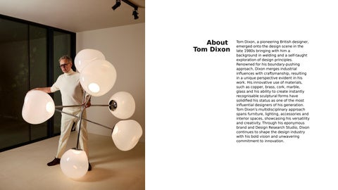 Tom Dixon DRS 第 2 页