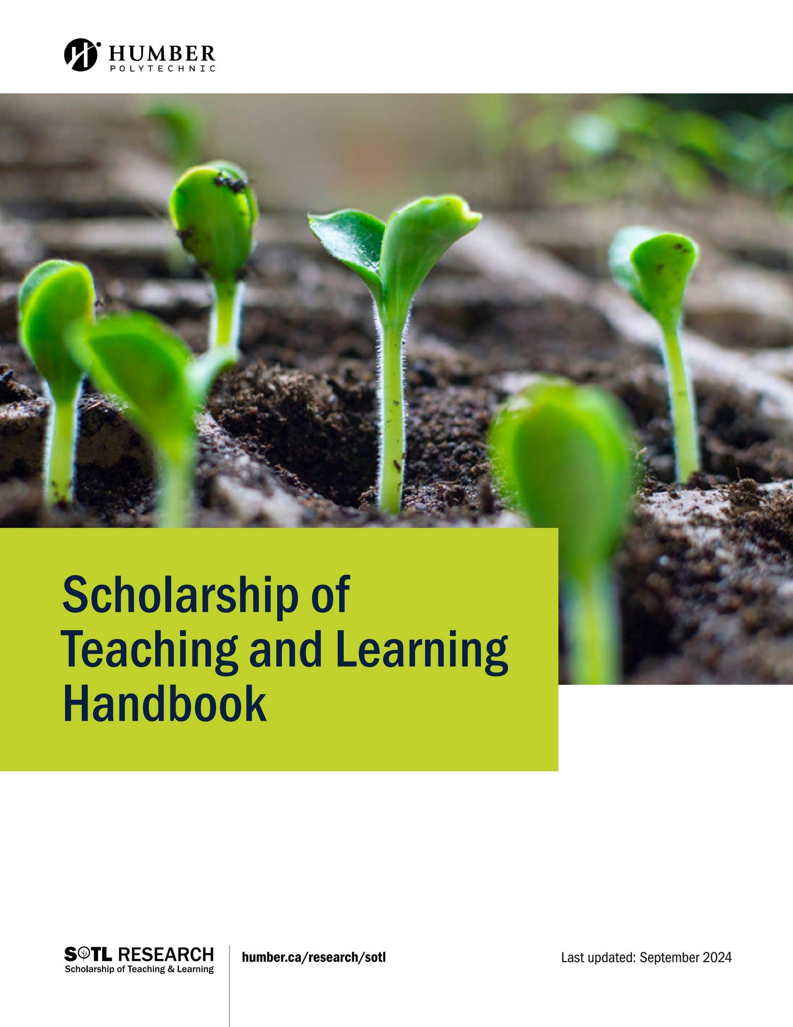Research & Innovation, Scholarship of Teaching and Learning Handbook by ...