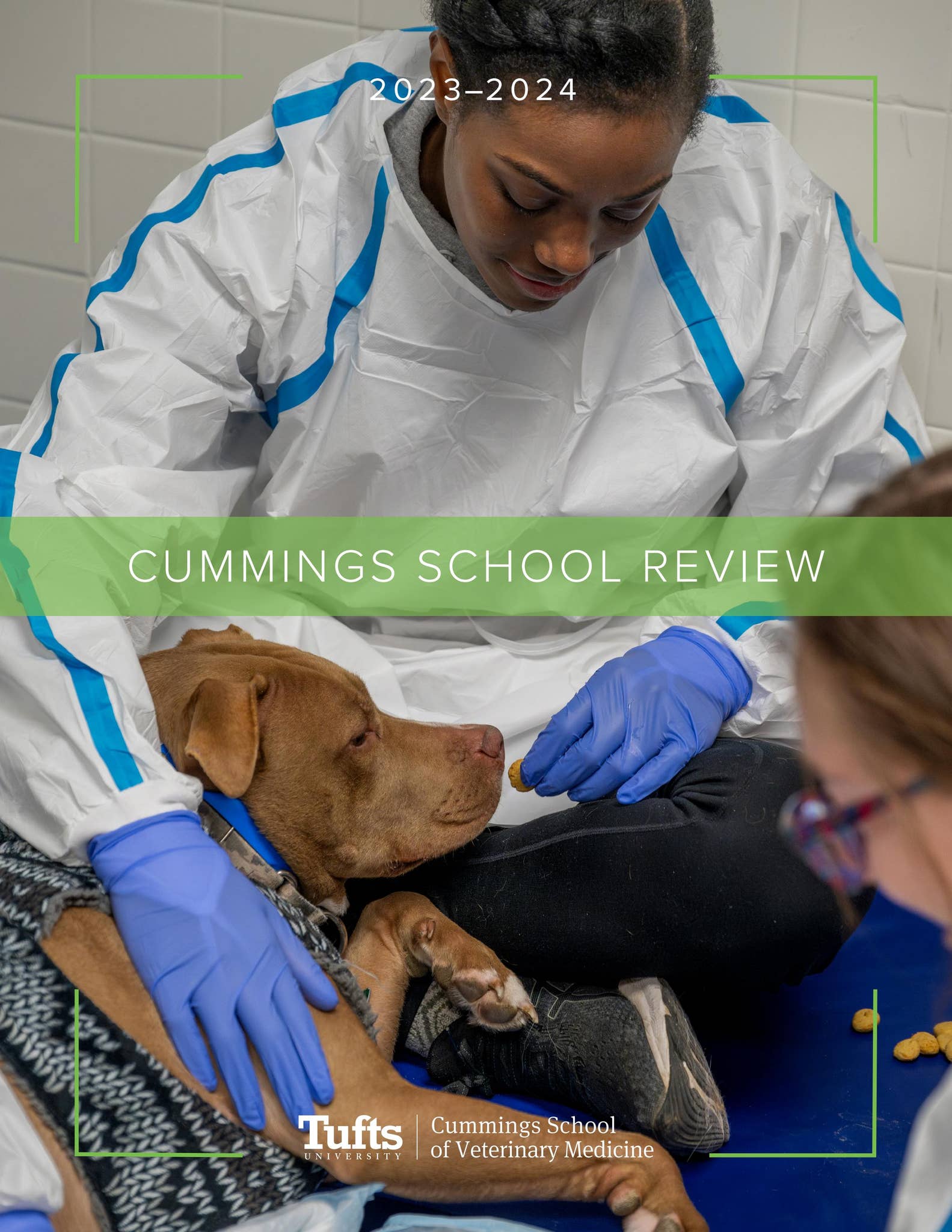 Cummings School Review 2024 by tuftsvet - Issuu