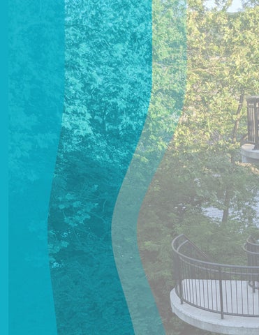 Pedestrian Bridge Feasibility Study | Bethlehem, PA 第 6 页