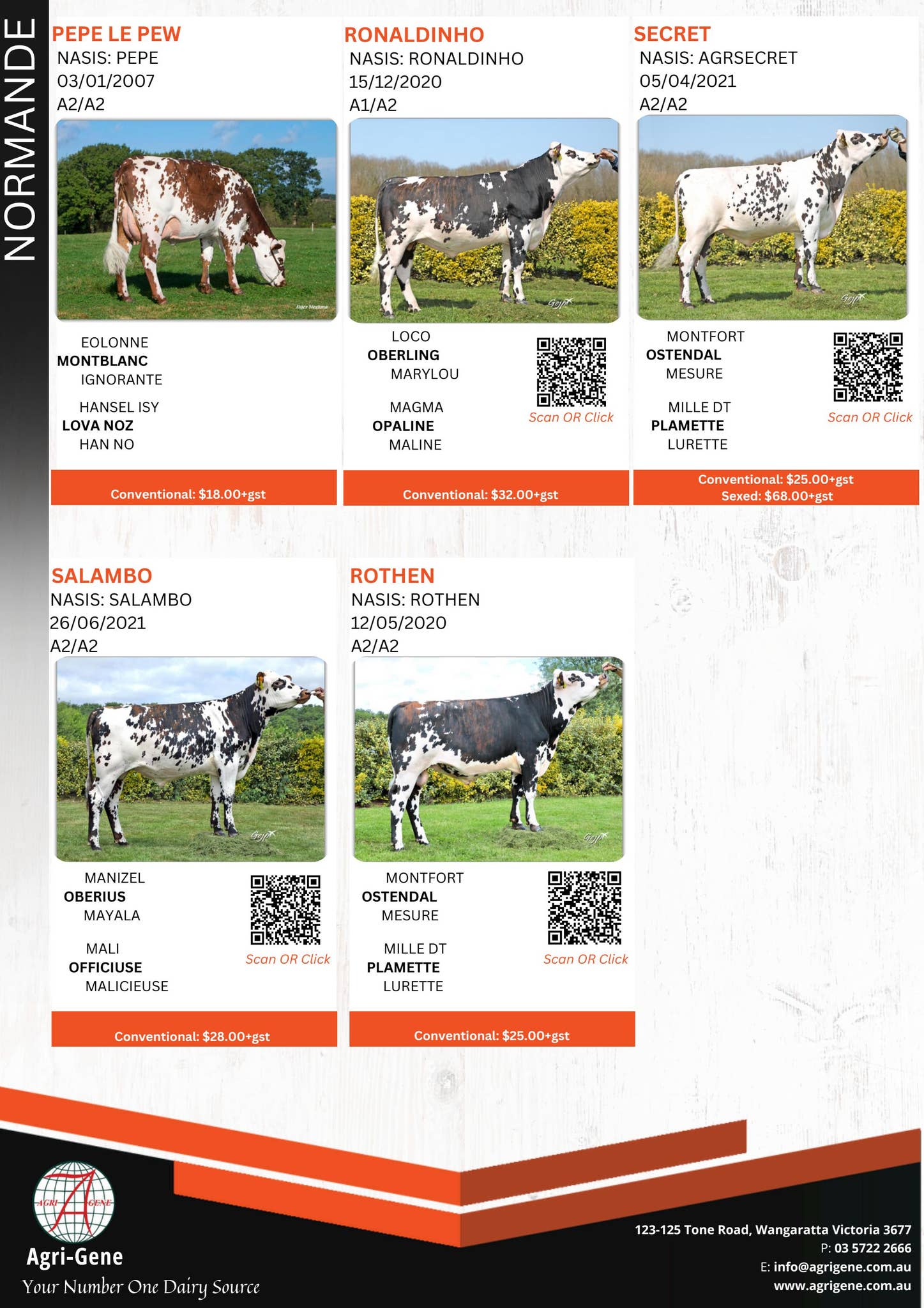 apbt　1piu1uguale3 MOUTON WRAP Rwraps™ Deer Silhouette Bushwolf™ Camouflage Vinyl Wrap