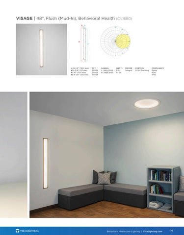 Visa Lighting Admin Behavioral Health 灯饰目录 2024 第 17 页