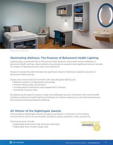 Visa Lighting Admin Behavioral Health 灯饰目录 2024 第 5 页