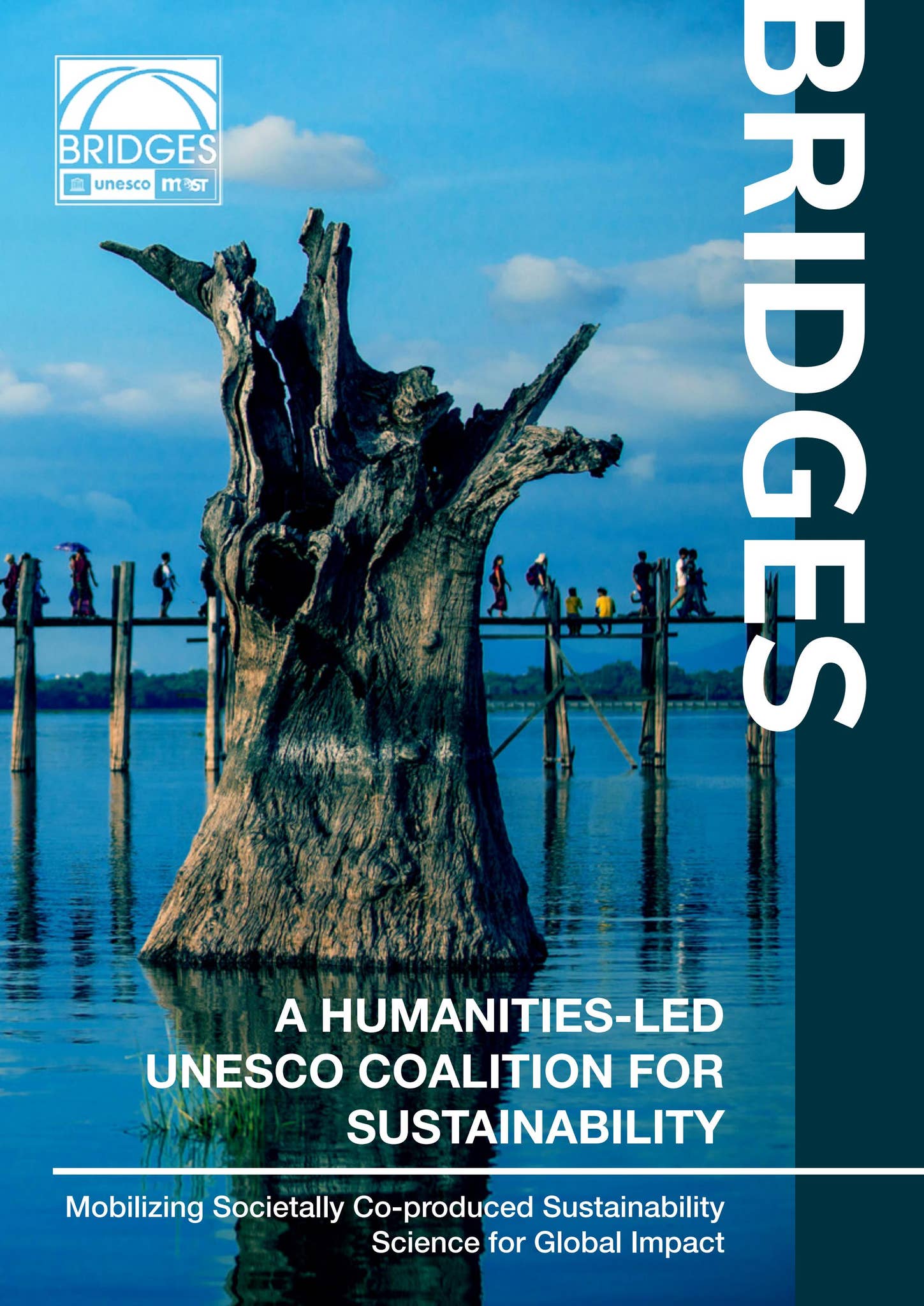 BRIDGE Programme Grants: Gender Mainstreaming and Women Leadership – International Union for Conservation of Nature