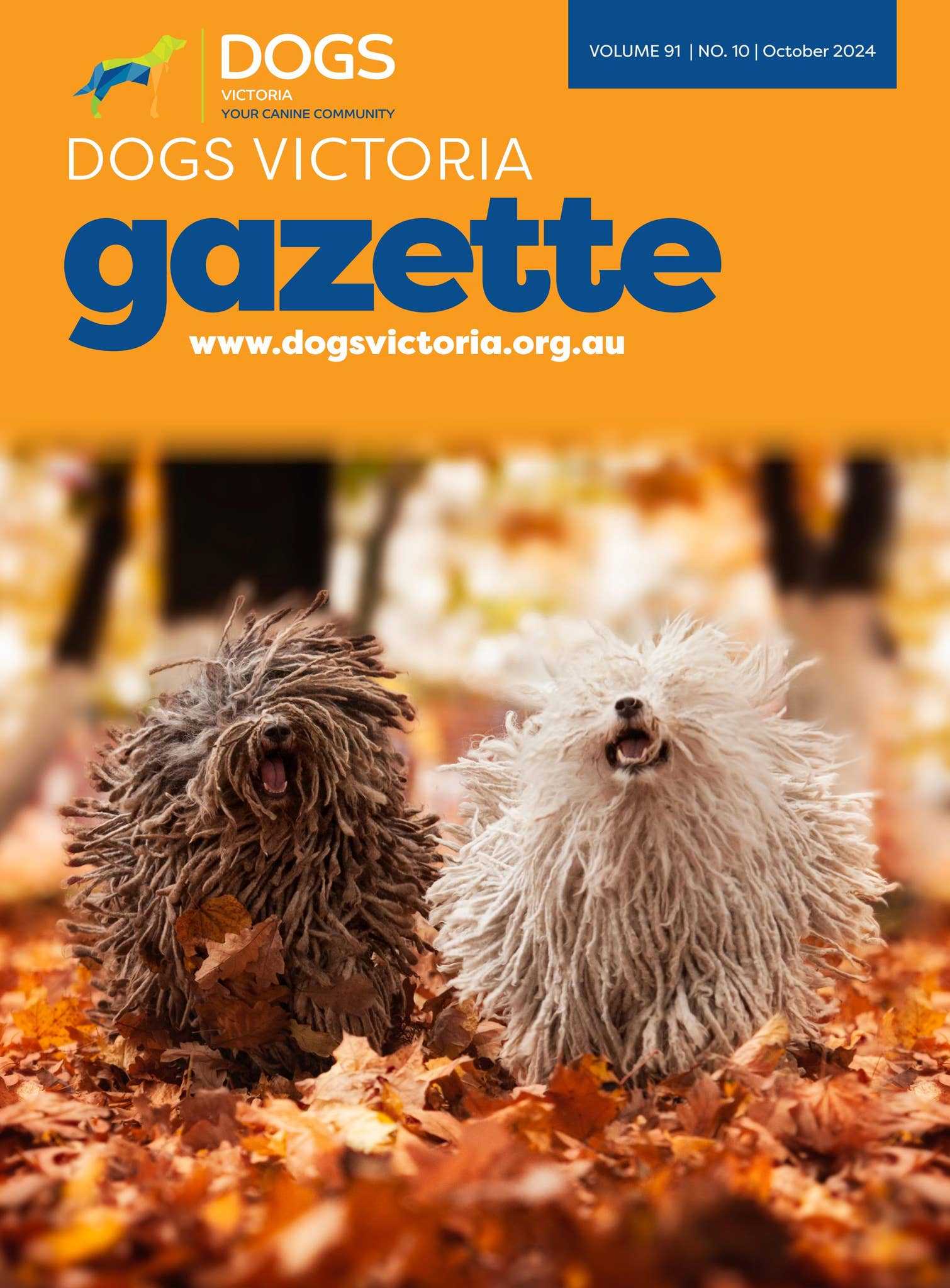 Dogs Victoria October 2024 Magazine by Dogs Victoria - Issuu, image size:1510x2048