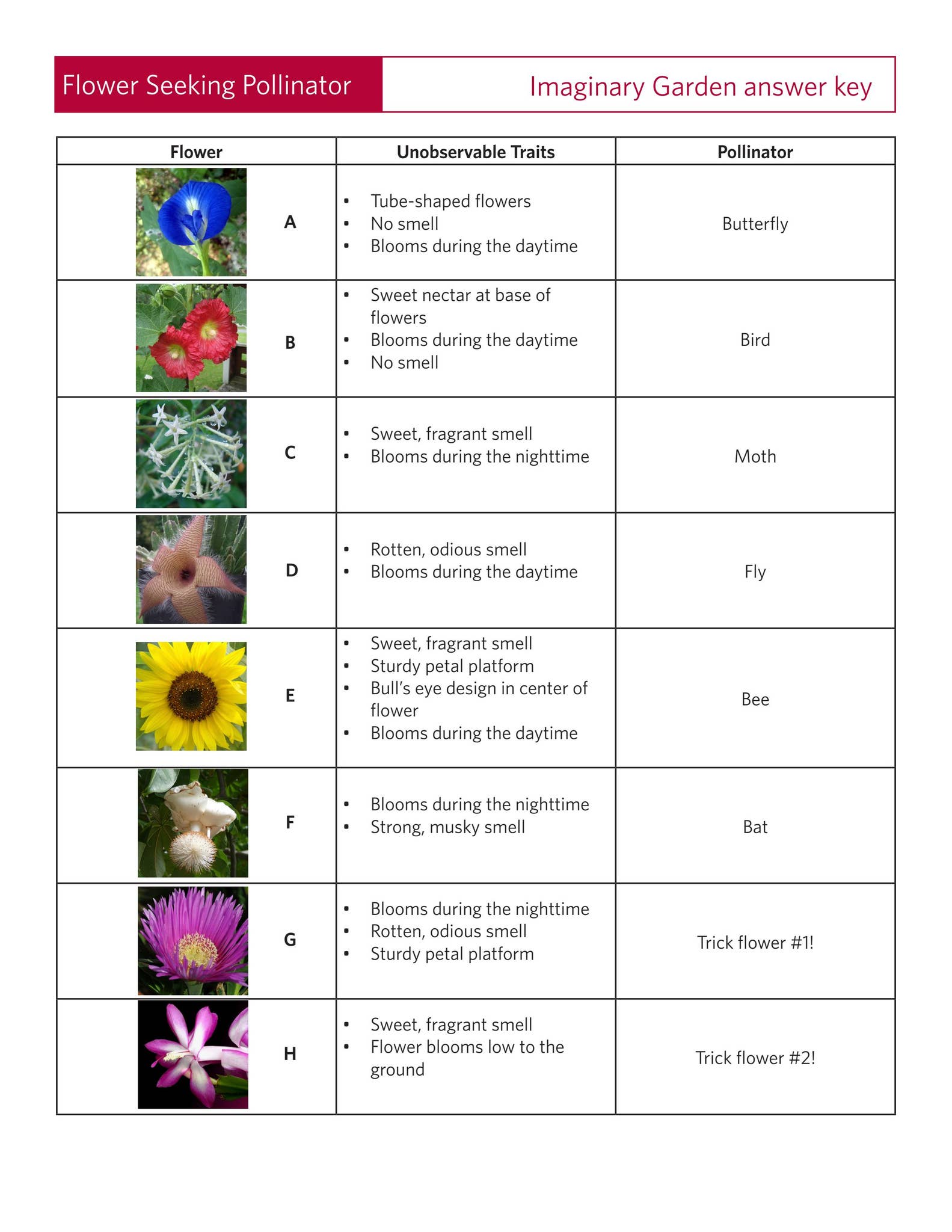 Imaginary Garden – Answer Key by Save Mount Diablo - Issuu