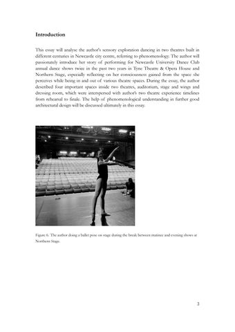 Space That Flows- 专题 of an architecture student as dancer in theatres 第 3 页