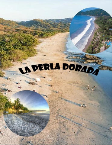 CATALOGO LA PERLA DORADA