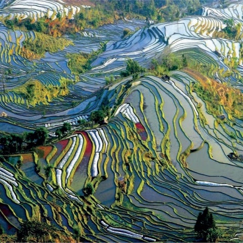 Nordisk Yunnan 第 6 页