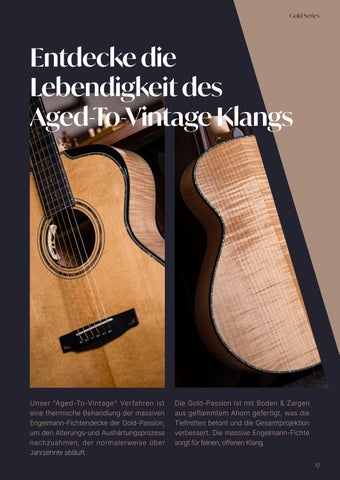 高端 Acoustic Guitar 灯饰目录 (GER) 第 13 页