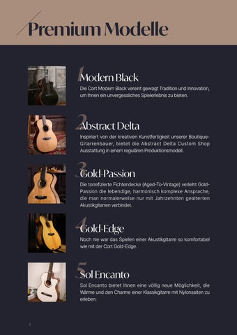 高端 Acoustic Guitar 灯饰目录 (GER) 第 2 页