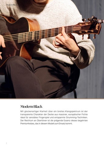 高端 Acoustic Guitar 灯饰目录 (GER) 第 6 页
