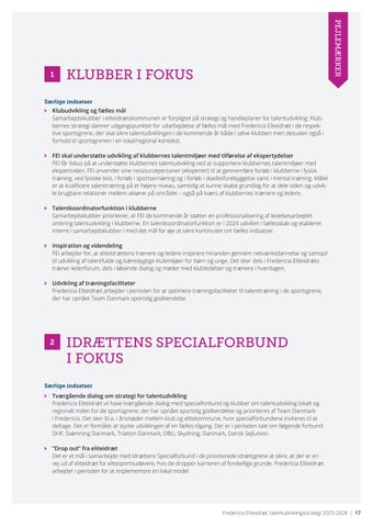 FEI Nye fælles ambitioner 2025-2028 第 17 页