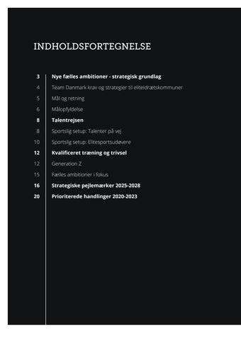 FEI Nye fælles ambitioner 2025-2028 第 2 页