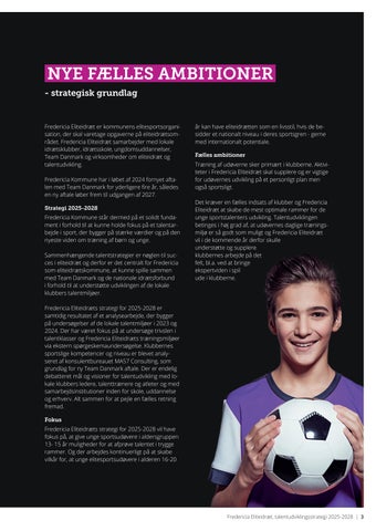 FEI Nye fælles ambitioner 2025-2028 第 3 页