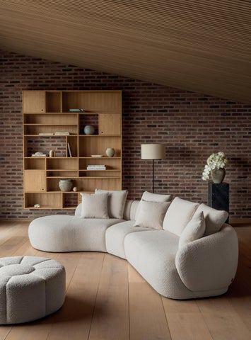 Flexlux Professionals 第 2 页