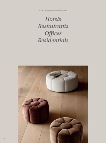 Flexlux Professionals 第 4 页