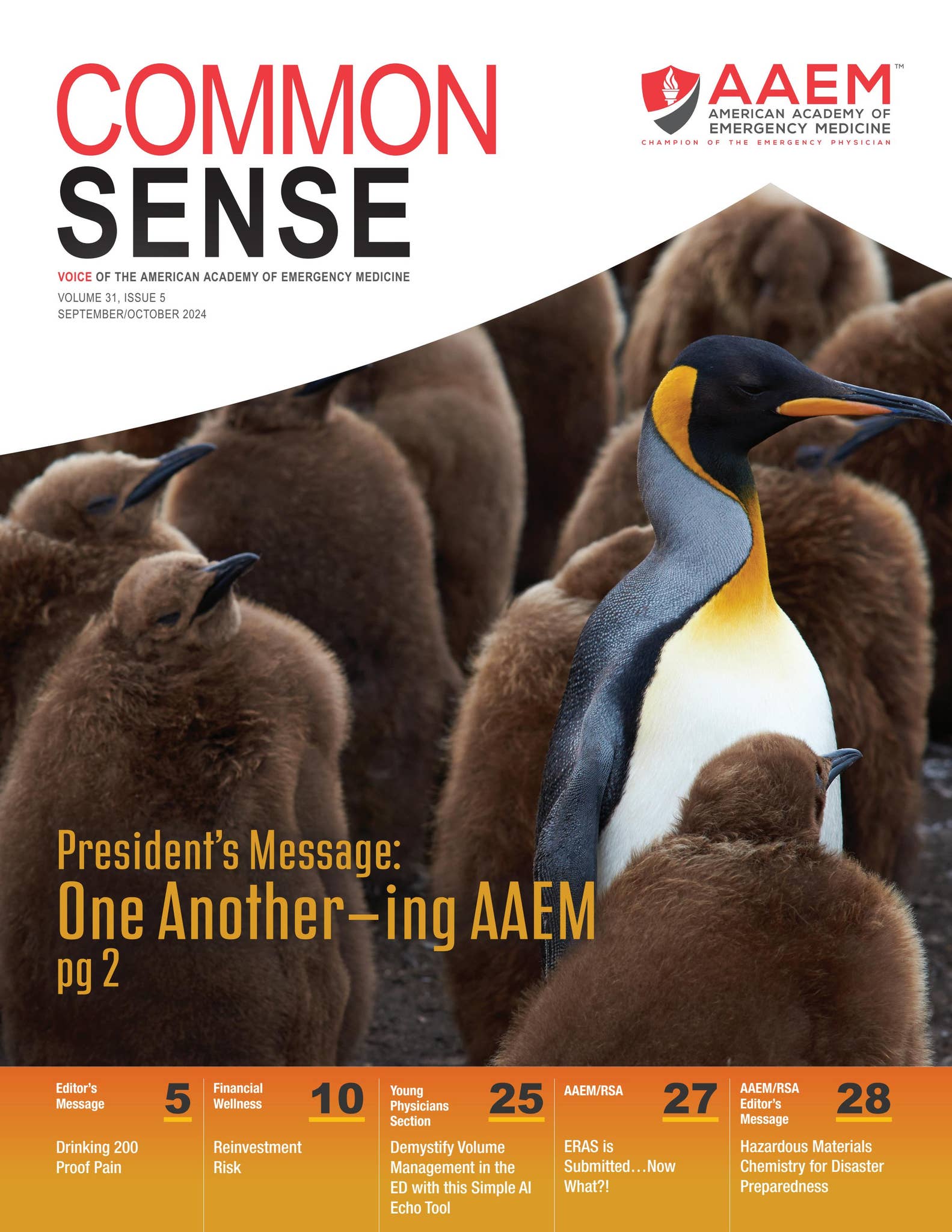 September/October 2024 Common Sense by American Academy of Emergency  Medicine - Issuu